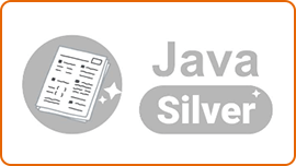 Java Silver