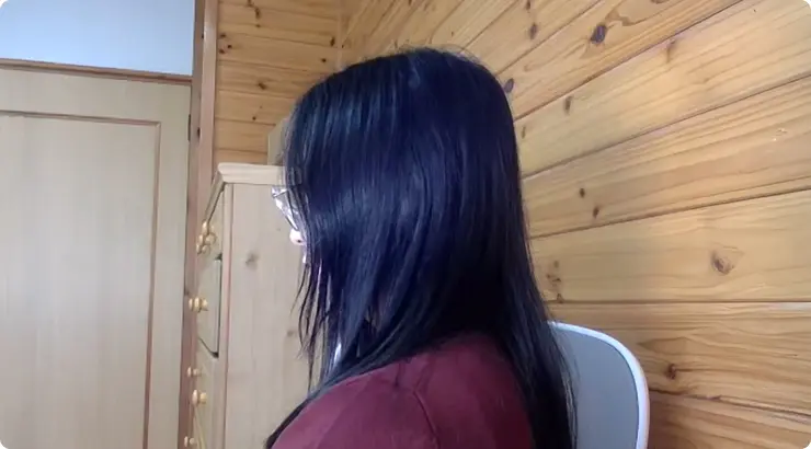 家庭教師 ＞  開発エンジニア